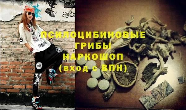 кокс Алексеевка