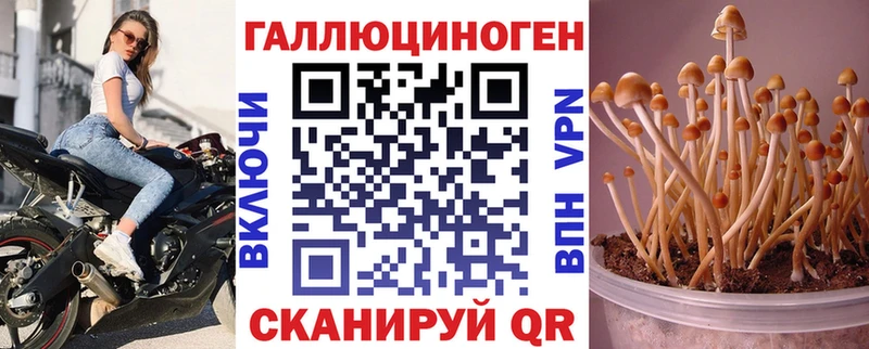 сколько стоит  Рязань  Галлюциногенные грибы мухоморы 